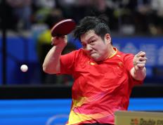 IM体育社区互动入口-日本队逆转韩国队，樊振东带队取胜