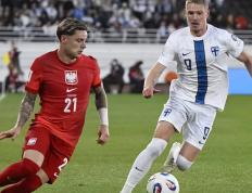 IM体育数据分析平台-瑞典队力克法国队，波尔惊艳四座的简单介绍