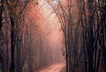 IM体育app-新王当立！拉梅洛·鲍尔加时狂飙接管比赛，凯尔特人鏖战力克湖人改写季后赛格局