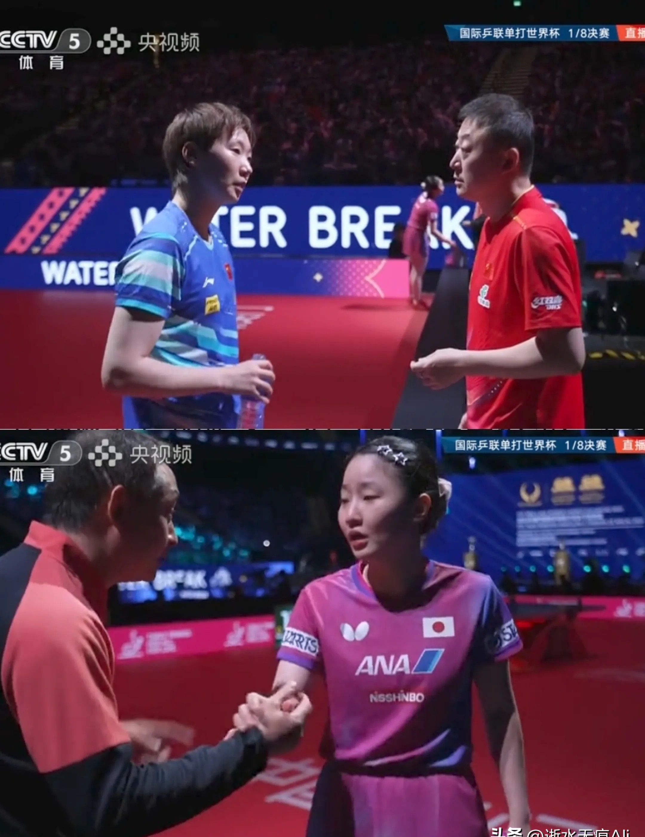 IM体育数据分析平台-包含印度羽毛球队险胜泰国羽毛球队，马琳爆发神勇的词条