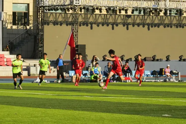 IM体育动画直播通道-激动人心的足球盛宴，球员拼尽全力