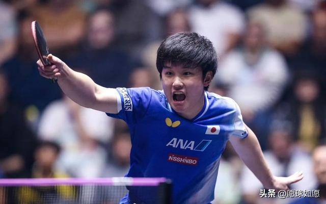 IM Sport-日本队碾压韩国队，张本智和高光表现
